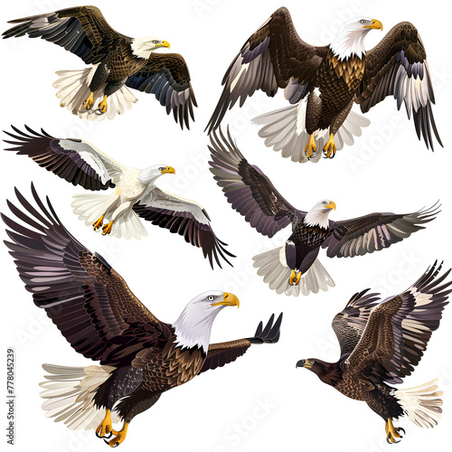 Clipart illustration featuring a various of eagle on white background. Suitable for crafting and digital design projects.[A-0003]