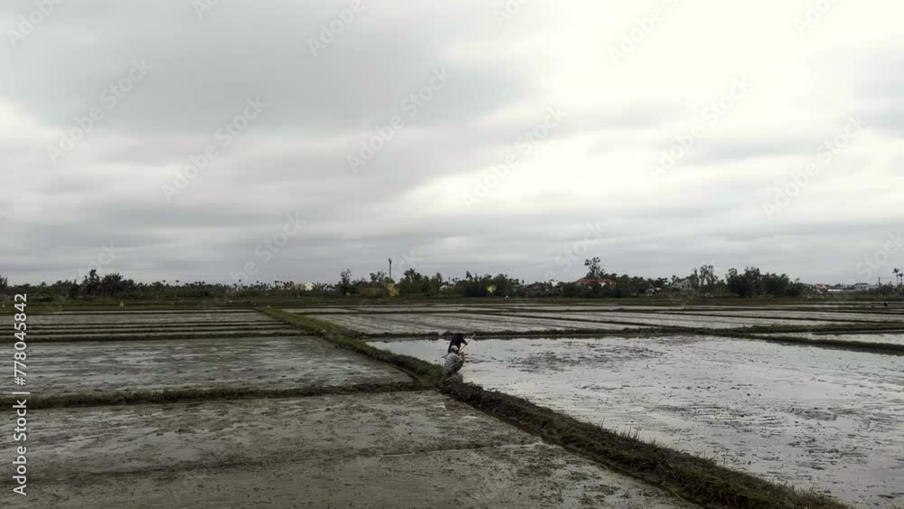 Farmers working in a rice field. Men preparing the rice fields on a grey cloudy day. Hoi An, Vietnam. Farmers working in a rice field. Men preparing the rice fields on a grey cloudy day. Hoi An, Vietnam.