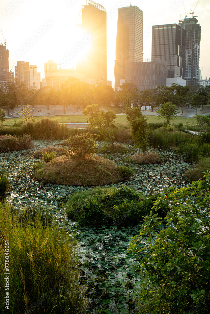 Sunset in the afternoon at Benchakitti Park. Golden hour view in the park with pathway and nature all around Sunset in the afternoon at Benchakitti Park. Golden hour view in the park with pathway and nature all around