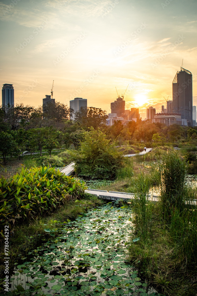 Fototapeta premium Sunset in the afternoon at Benchakitti Park. Golden hour view in the park with pathway and nature all around