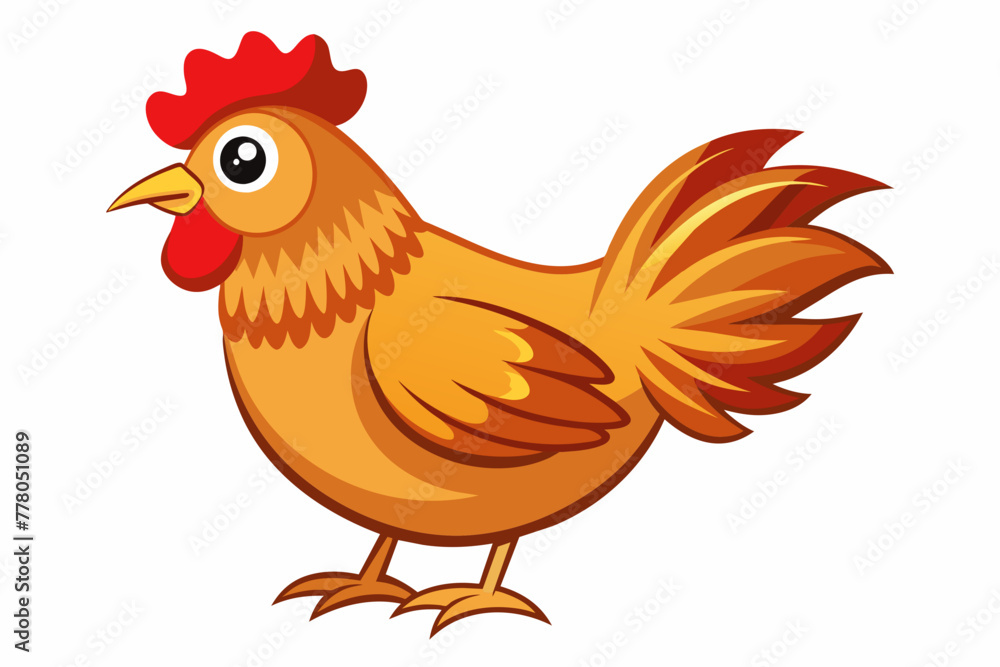 chicken--on-white-background-vector-illustration