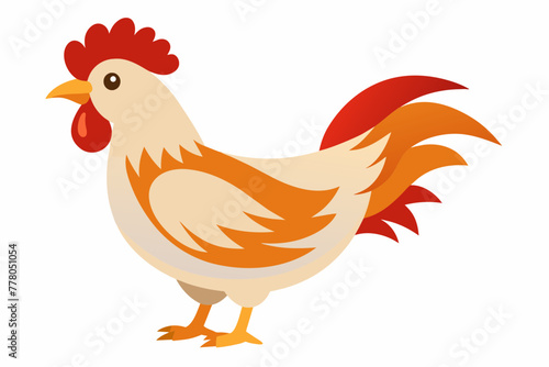 chicken--on-white-background-vector-illustration © Jutish