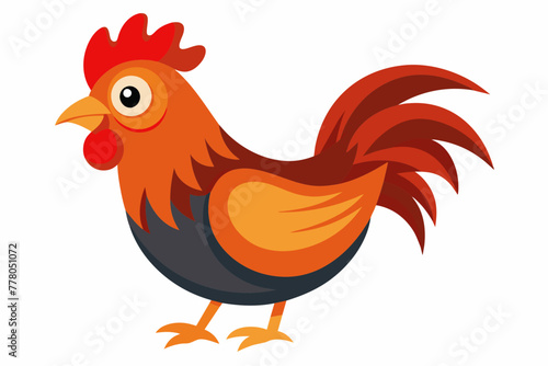 chicken--white-background-vector-illustration