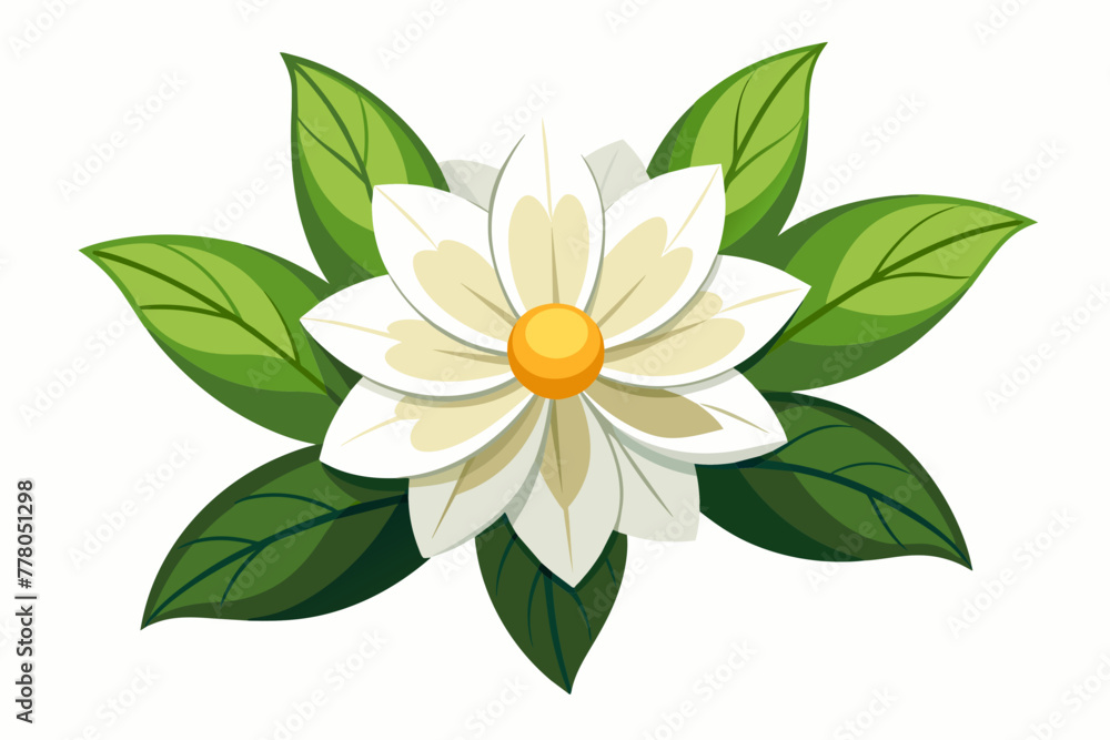  flower--white-background-vector-illustration