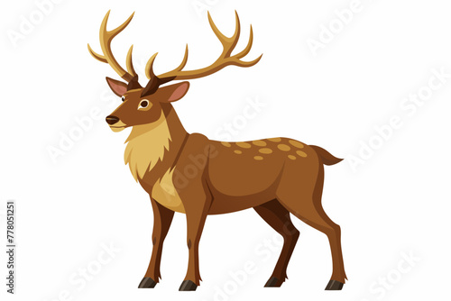 Fototapeta Naklejka Na Ścianę i Meble -  deer vector illustration with whit background 