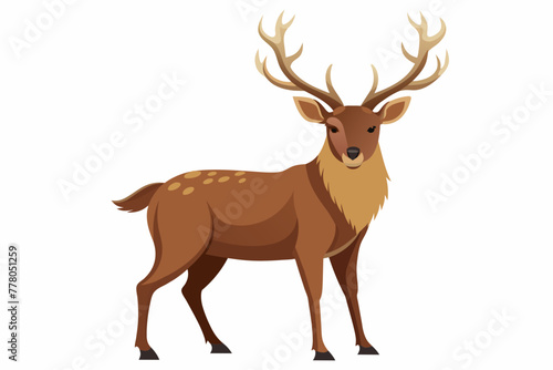 deer vector illustration with whit background 