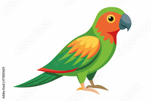 parrot-bird--on-white-background-vector-illustration  © Jutish