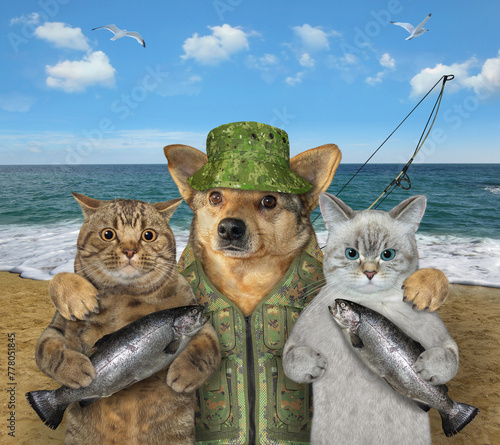 Dog fisher hugs two cats on seashore