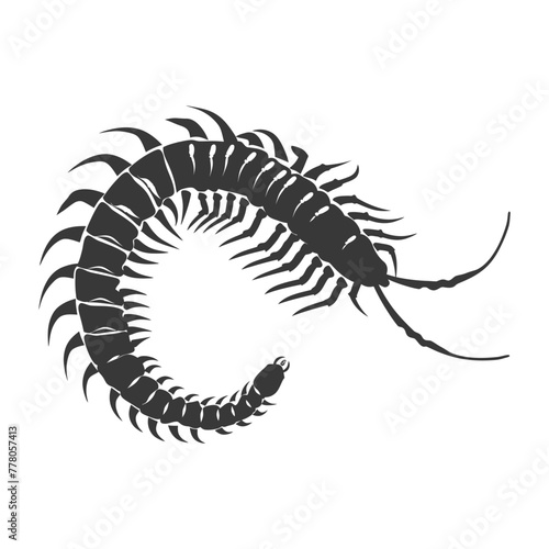 Wallpaper Mural Silhouette centipede Insect animal black color only Torontodigital.ca