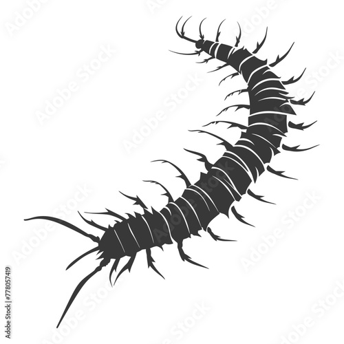 Silhouette centipede Insect animal black color only