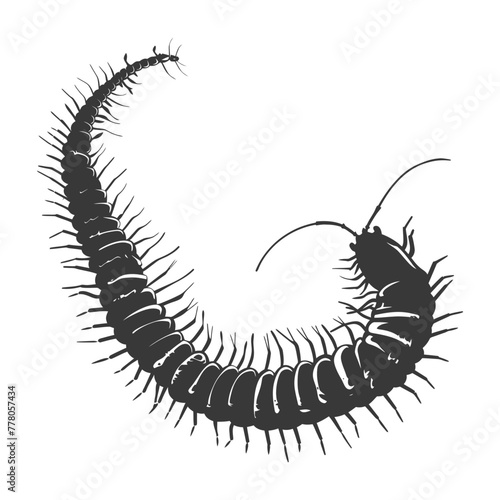 Wallpaper Mural Silhouette centipede Insect animal black color only Torontodigital.ca