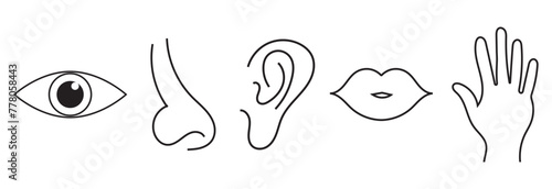 Five human senses editable stroke outline icons set isolated on white background . vector illustration. EPS 10