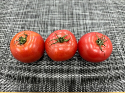 tomatoes on a wooden table
