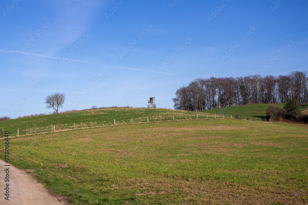 Landscape view of green grass field with blue skybackground. Landscape view of green grass field with blue skybackground.