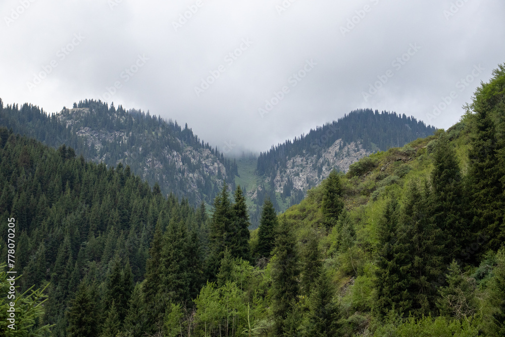 Cloudy sky over mountain with trees, creating a natural landscape