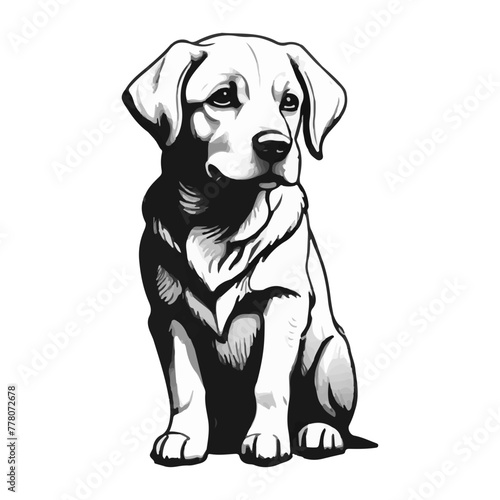 Labrador Dog breed vector image Isolated black silhouette on white background Cute line art illustration  