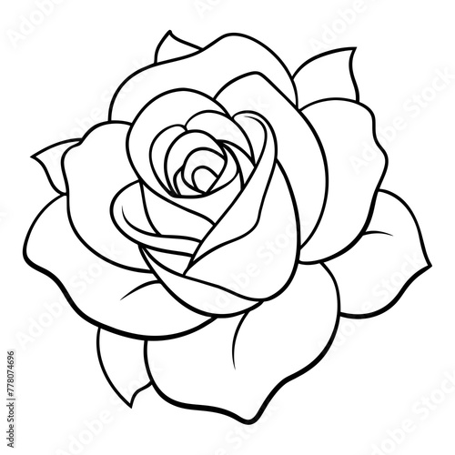  Flower vector illustration.

