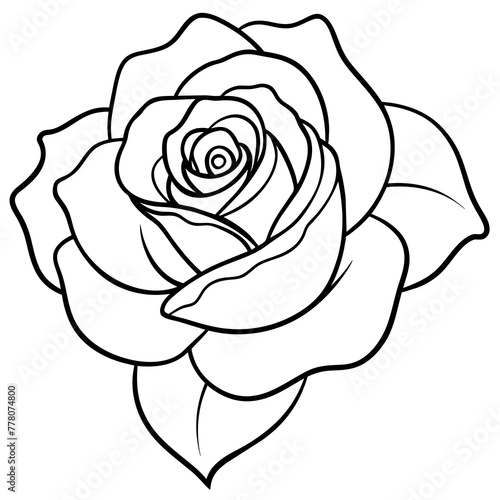  Flower vector illustration.

