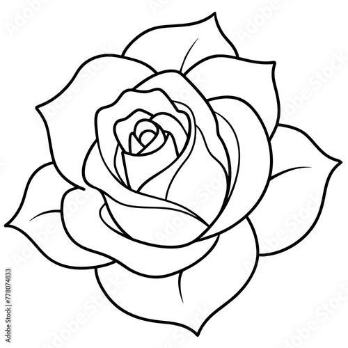  Flower vector illustration.

