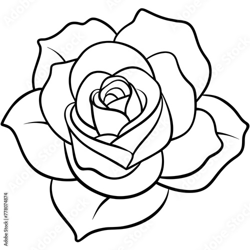 Flower vector illustration.

