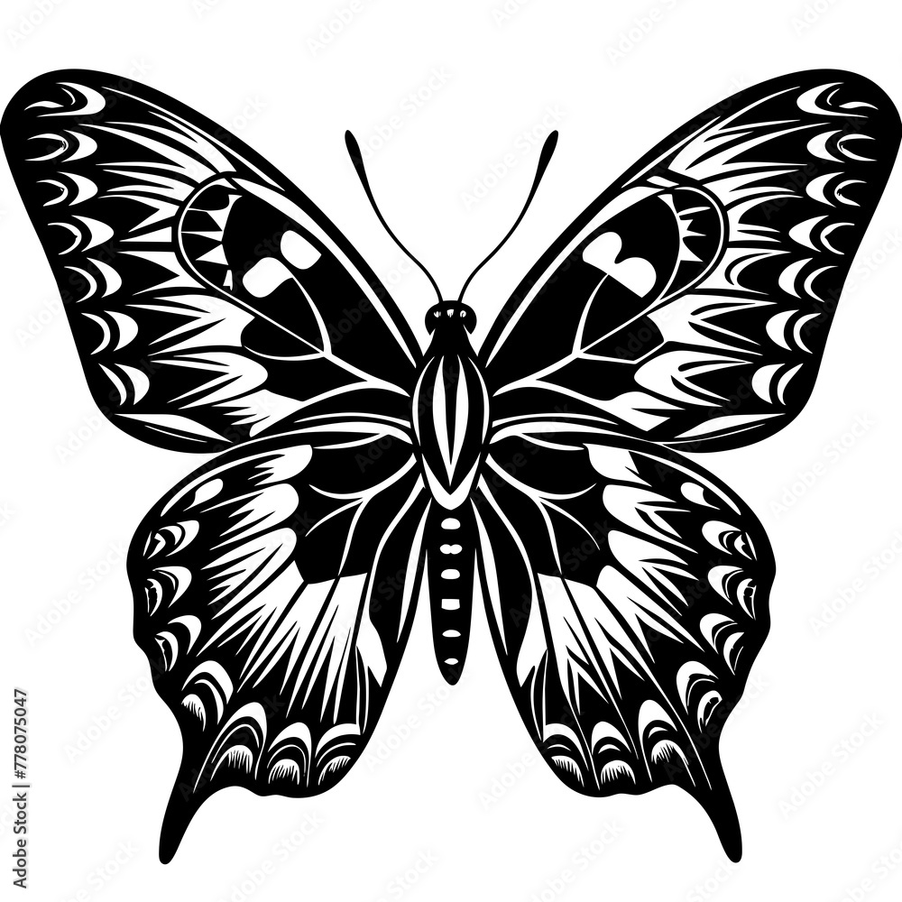   Butterfly vector illustration.


