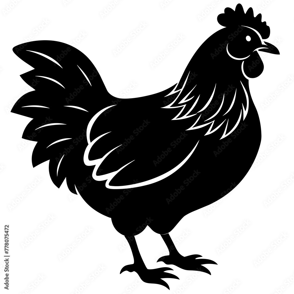   chicken vector illustration
