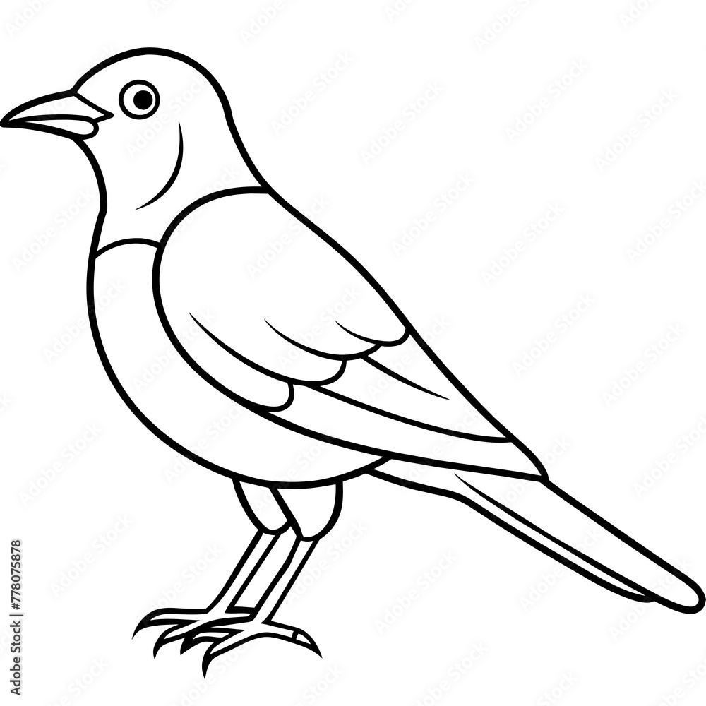 Obraz premium Bird vector illustration. 