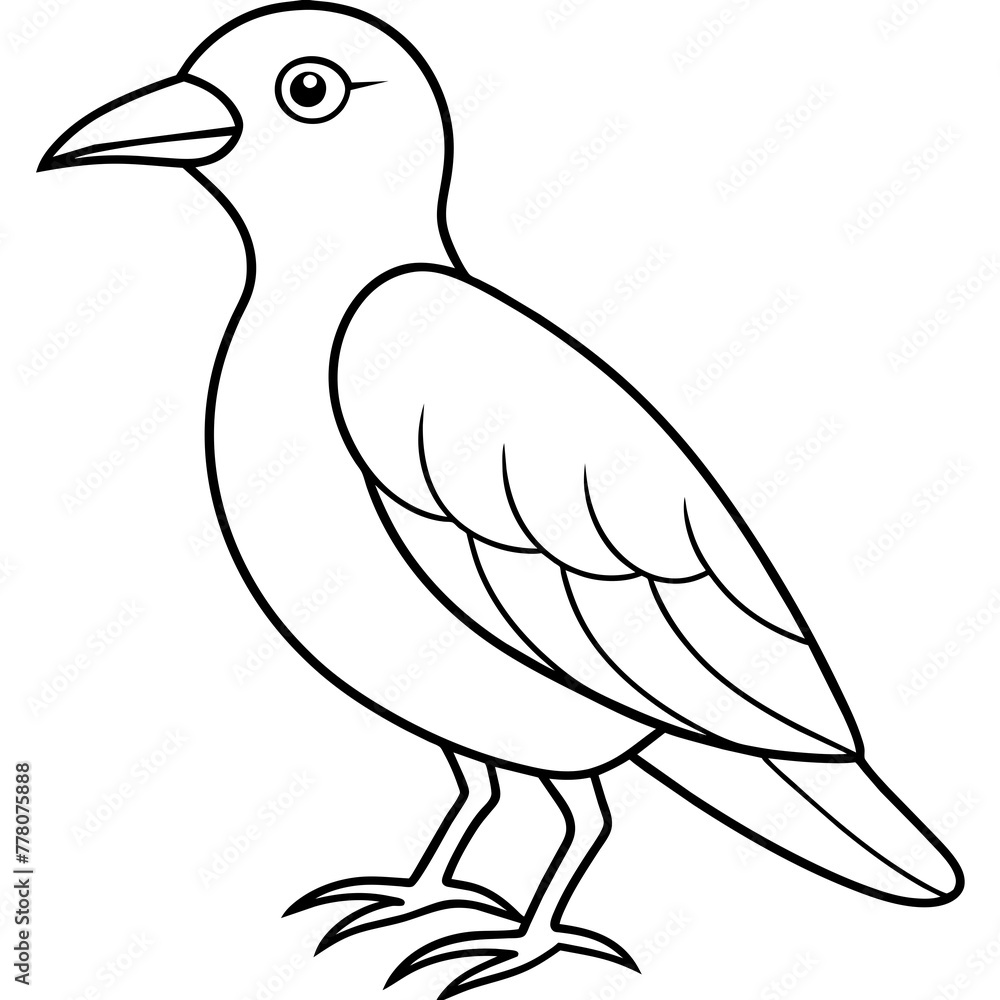 Bird vector illustration.
