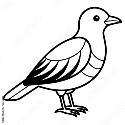 Bird vector illustration. 