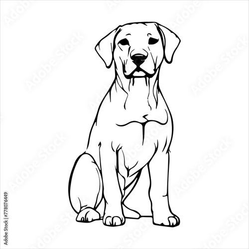 Rhodesian Ridgeback Dog breed vector image Isolated black silhouette on white background Cute line art illustration  