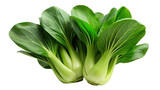 Green bok choy, a type of Chinese cabbage isolated on transparent background.