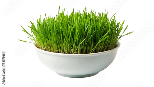 A bowl on planting green grass isolated on transparent background. photo