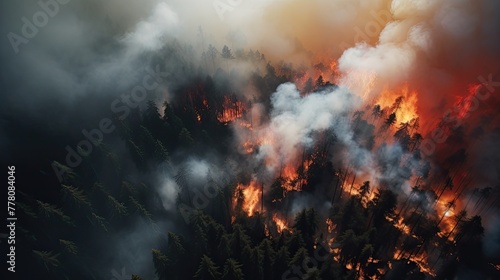 Aerial photography forest fire. Natural disaster. photo
