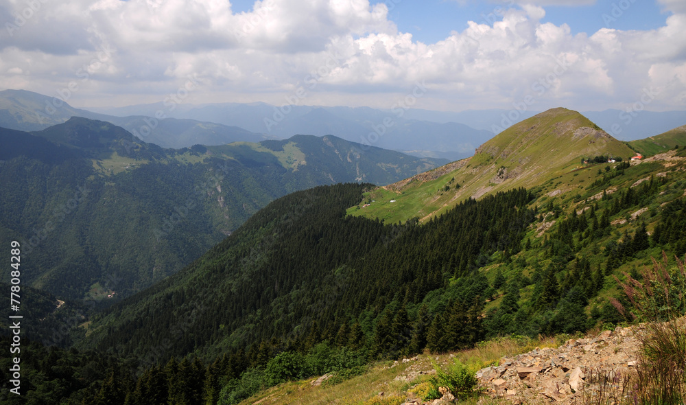 Fototapeta premium The plateaus in Trabzon, Turkey, are quite beautiful.