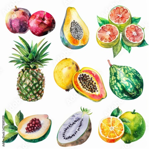 Exotic fruits watercolor clipart collection, professionally rendered, against a white background