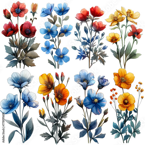Watercolor flowers. Set Watercolor of multicolored colorful soft flowers. Flowers are isolated on a white background. Flowers pastel colors © Grafics