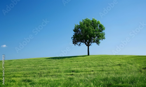 Green field tree and blue skygreat background  Generative AI 