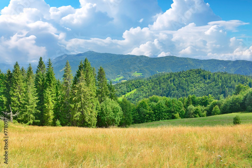 Summer lanscape in  mountains. View of the Luban range in the Gorce Mountains, Poland.