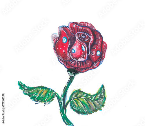 Red rose flower illustration on white background. Art markers illustration.
