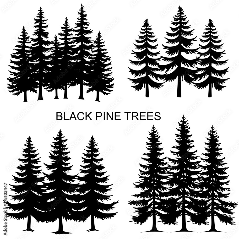 Silhouette of Pine Trees in a Simple, Solid Shape Black and White Design on White Background