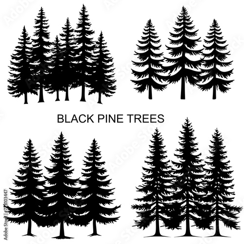Silhouette of Pine Trees in a Simple, Solid Shape Black and White Design on White Background