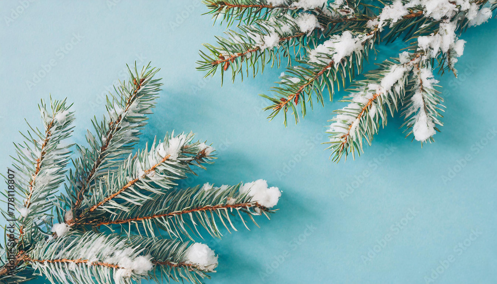 Creative winter nature layout made with snowy branches against pastel blue background. Minimal Christmas background flat lay.