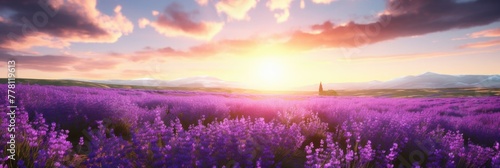 Lavender field © Guizal