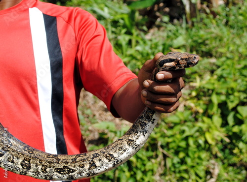 Ragazzo che mostra un serpente