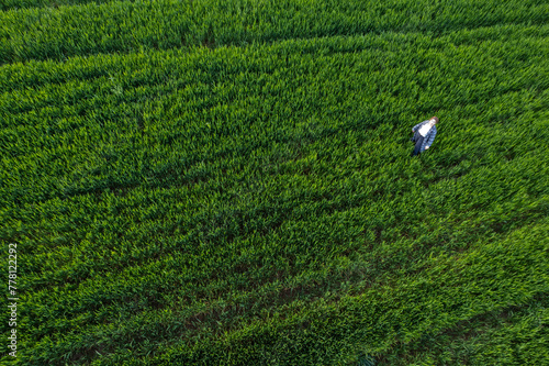 Done aerial view of a woman walking in the green meadow field