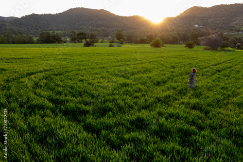 Done aerial view of a woman walking in the green meadow field enjoying sunset