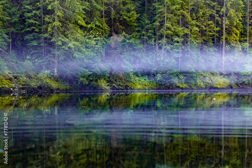 morning mist over the water of a forest lake