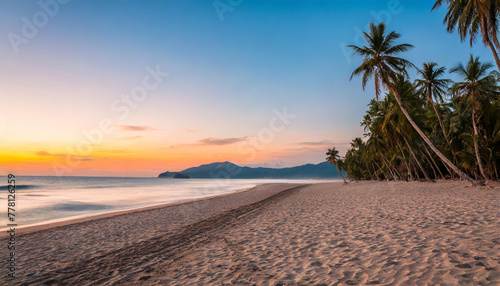 A deserted beach with palm trees at sunset