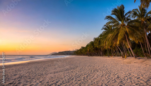 A deserted beach with palm trees at sunset