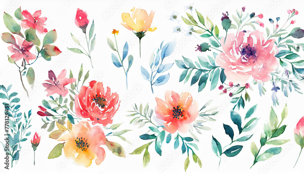 Flowers watercolor illustration.composition.Big Set watercolor elements.